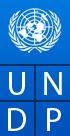 United Nations Development Programme